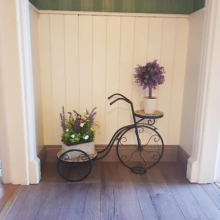 Bed & Breakfast Sunrise View