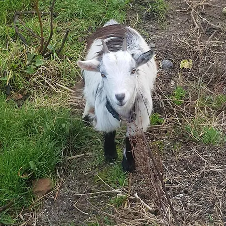 Sunrise View Bed & Breakfast Castlemagee
