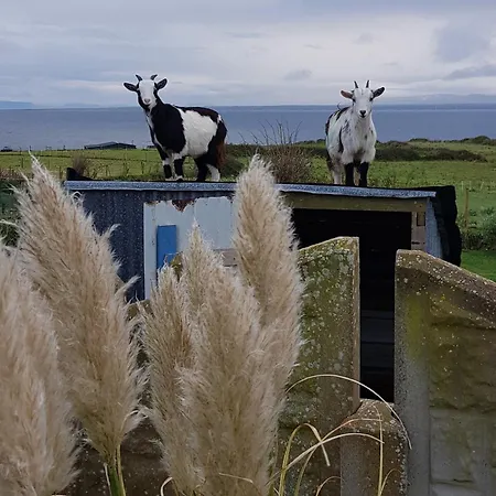 Sunrise View Bed & Breakfast Castlemagee