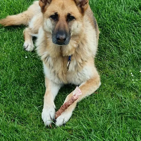 Bed & Breakfast Sunrise View Castlemagee