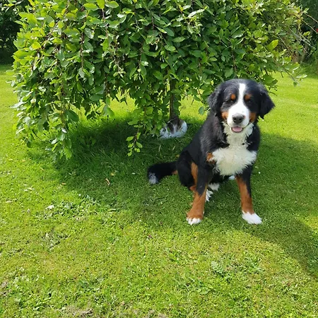 Bed & Breakfast Sunrise View 4*