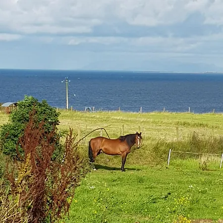 Sunrise View 4* Castlemagee