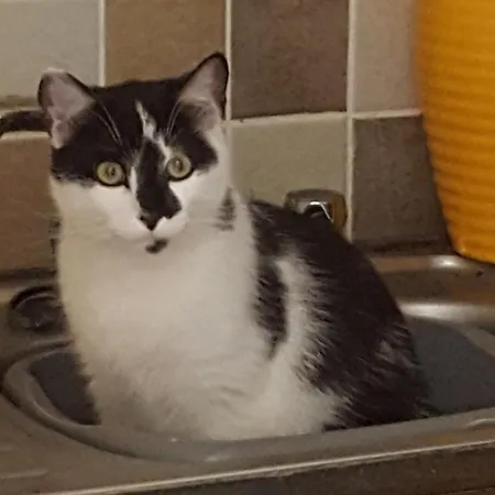 Sunrise View Castlemagee