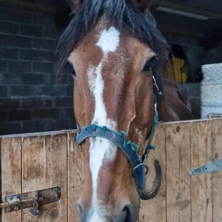 Bed & Breakfast Sunrise View