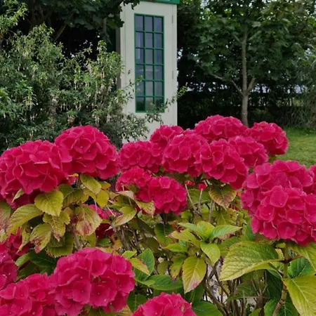 Bed & Breakfast Sunrise View 4*