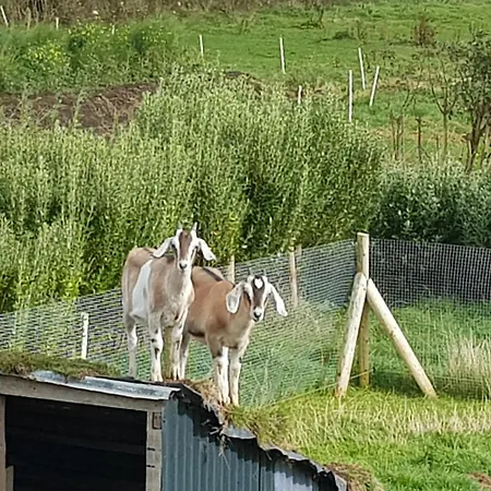 Sunrise View Bed & Breakfast Castlemagee