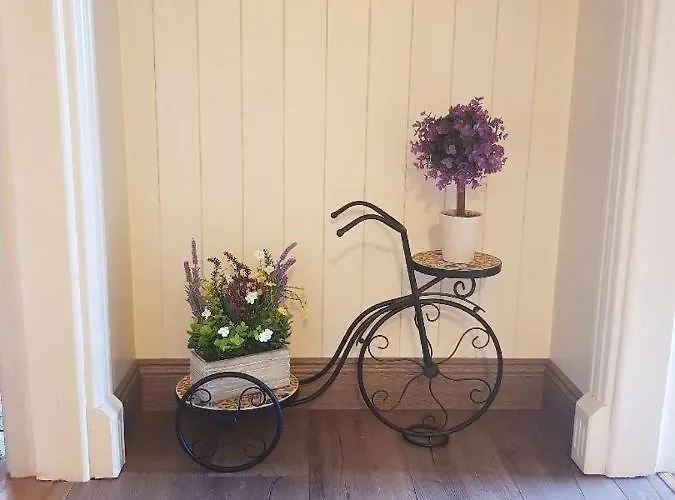 לינה וארוחת בוקר Sunrise View