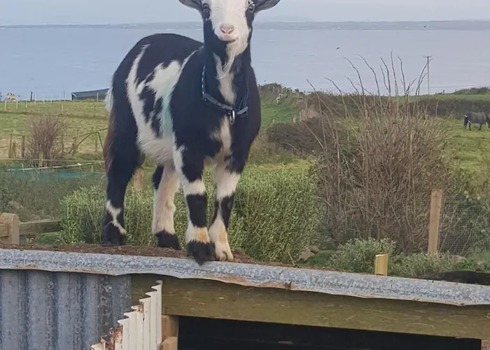 Sunrise View לינה וארוחת בוקר