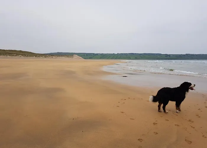 לינה וארוחת בוקר Sunrise View Castlemagee