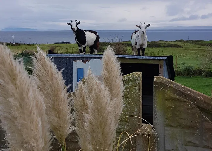 Sunrise View לינה וארוחת בוקר Castlemagee