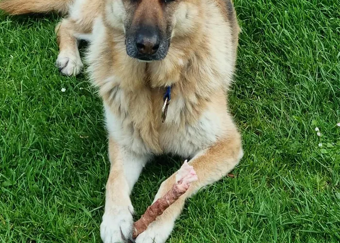 לינה וארוחת בוקר Sunrise View Castlemagee