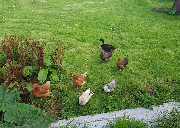 Sunrise View 4* Castlemagee