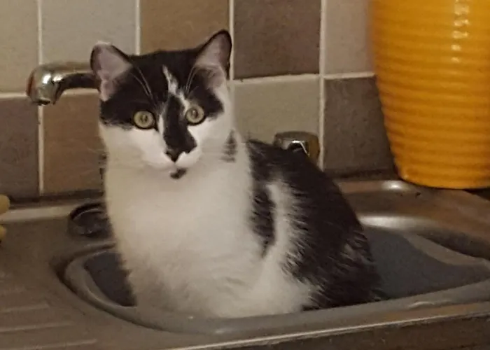 Sunrise View Castlemagee