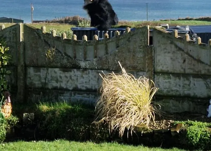 Sunrise View 4* Castlemagee