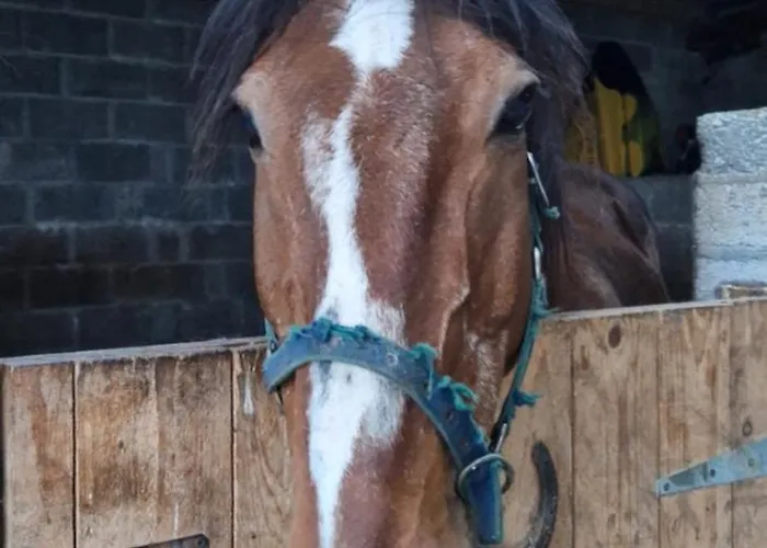 לינה וארוחת בוקר Sunrise View