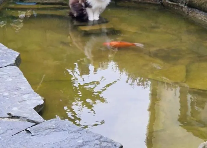 Sunrise View Castlemagee