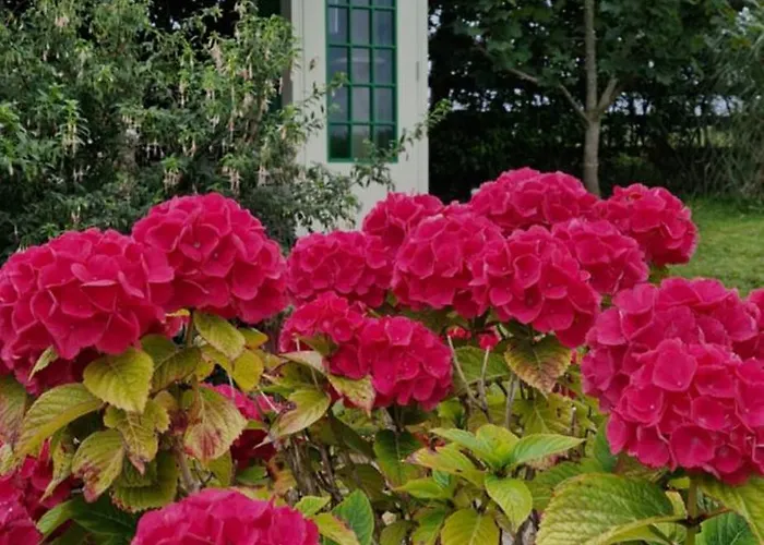 לינה וארוחת בוקר Sunrise View 4*