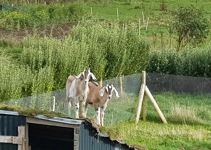 Sunrise View לינה וארוחת בוקר Castlemagee